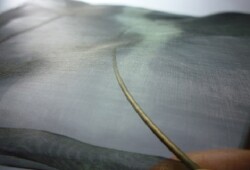 tungsten wire cloth